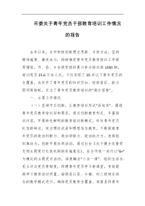 市委关于青年党员干部教育培训工作情况的报告