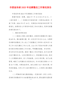 市委宣传部2025年巡察整改工作情况报告