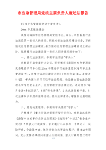 市应急管理局党政主要负责人度述法报告