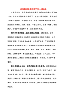2025年参加集团党委巡察工作心得体会