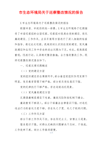 市生态环境局关于巡察整改情况的报告