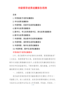 市级领导述责述廉报告范例