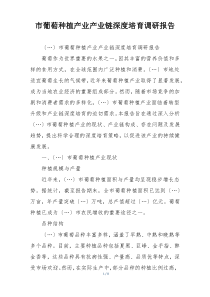 市葡萄种植产业产业链深度培育调研报告