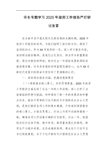 市长专题学习2025年政府工作报告严打研讨发言