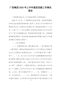 广投集团2025年上半年基层党建工作情况报告