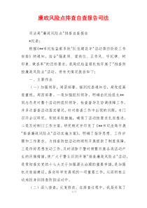 廉政风险点排查自查报告司法