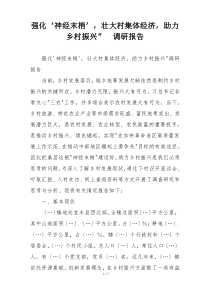 强化‘神经末梢’，壮大村集体经济，助力乡村振兴”  调研报告