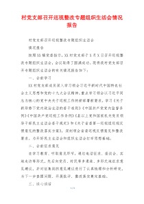 村党支部召开巡视整改专题组织生活会情况报告