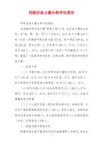 村级后备力量分析评估报告