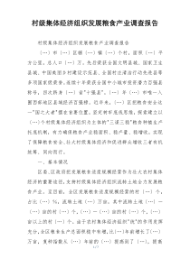 村级集体经济组织发展粮食产业调查报告