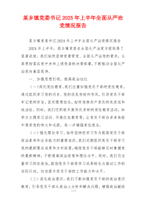 某乡镇党委书记2025年上半年全面从严治党情况报告