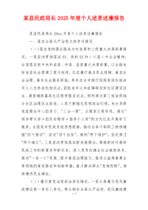 某县民政局长2025年度个人述责述廉报告