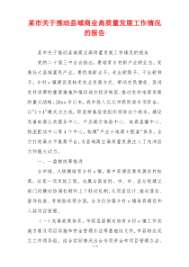 某市关于推动县域商业高质量发展工作情况的报告