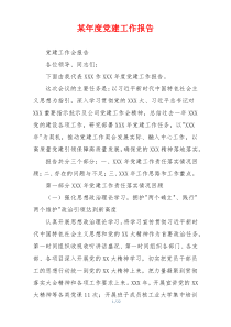 某年度党建工作报告