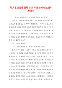 某某市应急管理局2025年法治政府建设年度报告