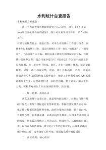 水利统计自查报告
