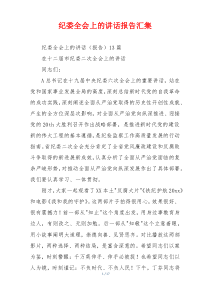 纪委全会上的讲话报告汇集