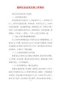 组织生活会党支部工作报告