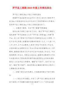 罗平县工商联2025年度工作情况报告
