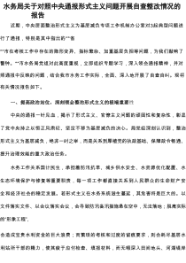 水务局2025年关于对照中央通报形式主义问题开展自查整改情况的报告
