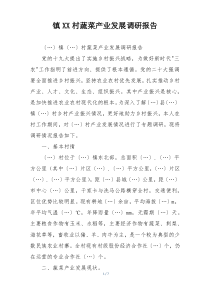 镇XX村蔬菜产业发展调研报告