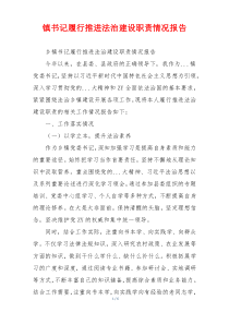 镇书记履行推进法治建设职责情况报告