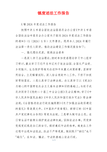 镇度述法工作报告