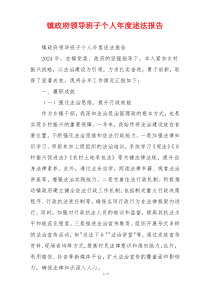 镇政府领导班子个人年度述法报告