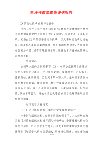 阶段性改革成果评估报告
