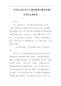 书记在2025年十二届市委审计委员会第七次会议上的讲话