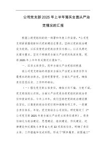 公司党支部2025年上半年落实全面从严治党情况的汇报