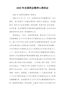 2025年全国两会精神心得体会