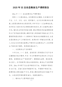 2025年XX自治县粮食生产调研报告