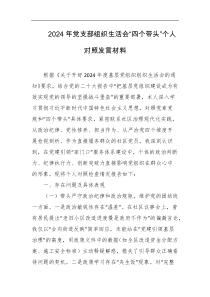 2024年党支部组织生活会四个带头个人对照发言材料