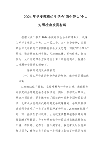2024年党支部组织生活会四个带头个人对照检查发言材料