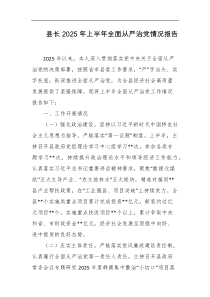 县长2025年上半年全面从严治党情况报告