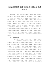 2024年度商会支部书记组织生活会对照检查材料