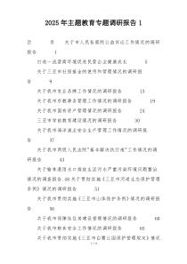2025年主题教育专题调研报告1