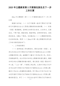 2025年主题教育第X开展情况报告及下一步工作打算