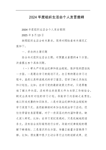 2024年度组织生活会个人发言提纲