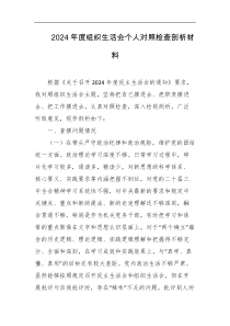 2024年度组织生活会个人对照检查剖析材料