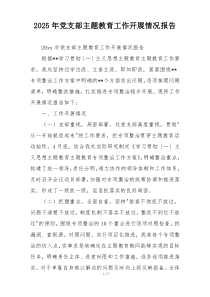 2025年党支部主题教育工作开展情况报告