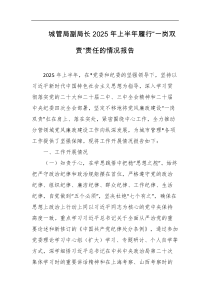 城管局副局长2025年上半年履行一岗双责责任的情况报告
