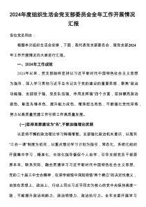 2024年度组织生活会党支部委员会全年工作开展情况汇报