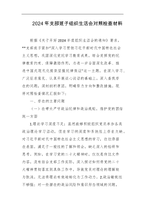 2024年支部班子组织生活会对照检查材料