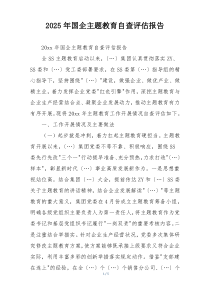 2025年国企主题教育自查评估报告