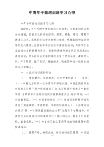 中青年干部培训班学习心得