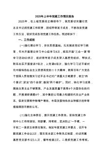 2025年上半年党建工作情况报告精选6例