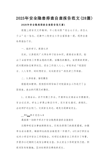 2025年安全隐患排查自查报告范文（28篇）