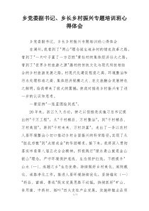 乡党委副书记、乡长乡村振兴专题培训班心得体会